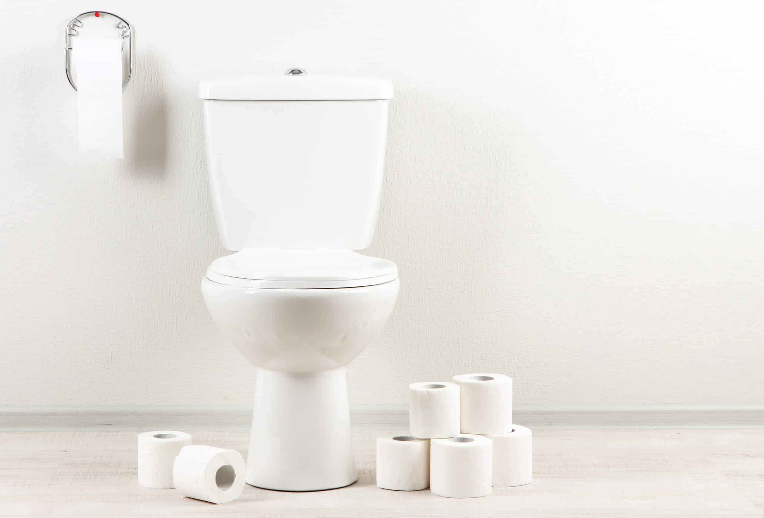 White toilet bowl with toilet paper in a bathroom